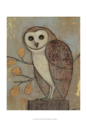 Ornate Owl II by Norman Wyatt Jr. art print