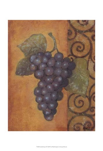 Scrolled Grapes II by Norman Wyatt Jr. art print