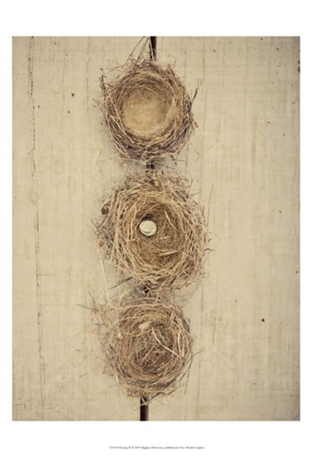Nesting II by Meghan Mcsweeny art print