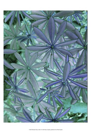 Woodland Plants in Blue IV by Sharon Chandler art print