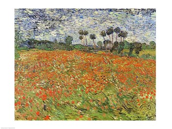 Field of Poppies by Vincent Van Gogh art print