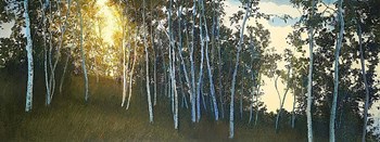 Hillside Birches by Elissa Gore art print