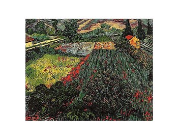 Field of Poppies, Saint-Remy, c. 1889 by Vincent Van Gogh art print