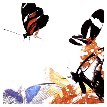 Butterfly Infloresence IV by A. Project art print