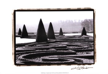 Palace of Versailles Garden I by Laura Denardo art print