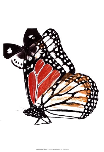Butterflies Dance IV by A. Project art print