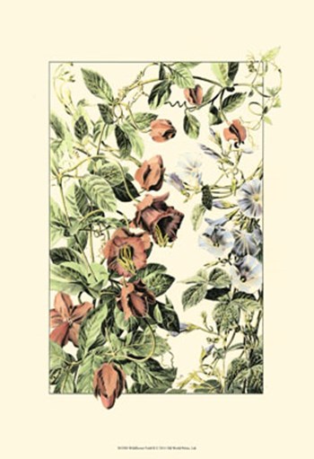 Wildflower Field II art print