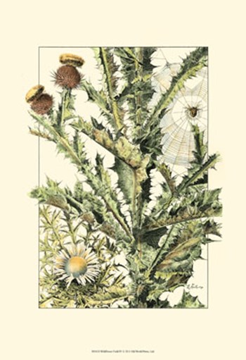 Wildflower Field IV art print