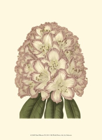 Pastel Blooms II art print
