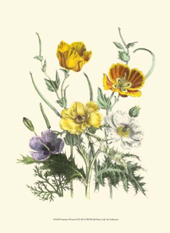 Summer Flowers II art print