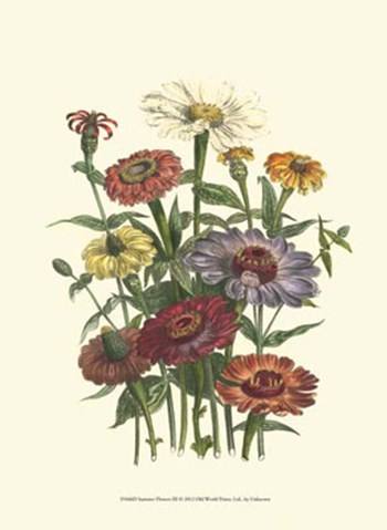 Summer Flowers III art print