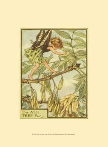 The Ash Tree Fairy by Vision Studio art print