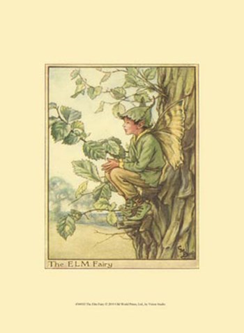 The Elm Fairy by Vision Studio art print