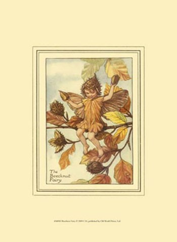 The Beechnut Fairy by Vision Studio art print