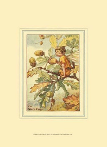 The Acorn Fairy by Vision Studio art print