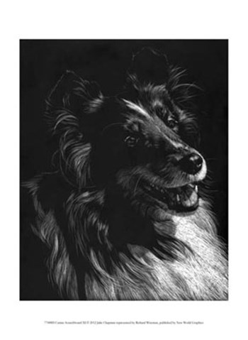 Canine Scratchboard XI by Julie Chapman art print
