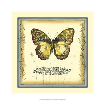 Butterfly and Wildflowers II by Jennifer Goldberger art print