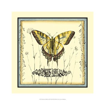 Butterfly and Wildflowers III by Jennifer Goldberger art print