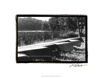 Lake Living II by Laura Denardo art print