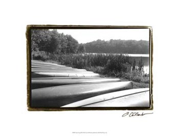Lake Living III by Laura Denardo art print