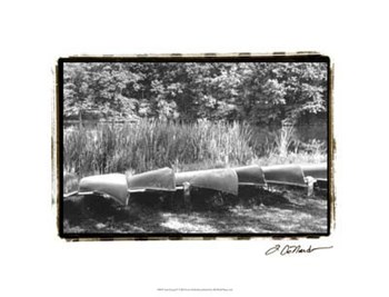 Lake Living IV by Laura Denardo art print