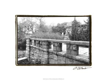 Garden Grace I by Laura Denardo art print