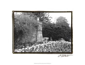 Garden Grace II by Laura Denardo art print