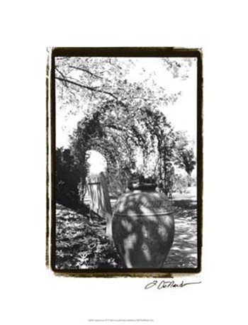 Garden Grace IV by Laura Denardo art print