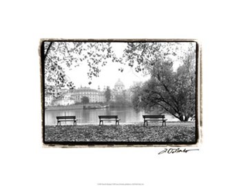 Peaceful Morning by Laura Denardo art print