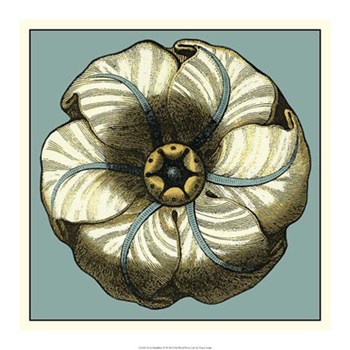 Floral Medallion IV by Vision Studio art print