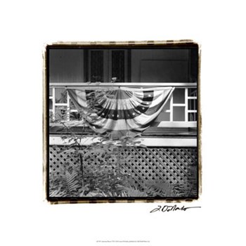 American Breeze VII by Laura Denardo art print