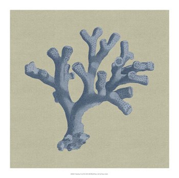 Chambray Coral II by Vision Studio art print