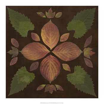 Kaleidoscope Leaves III by Vision Studio art print