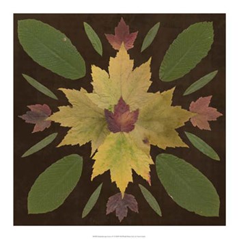 Kaleidoscope Leaves IV by Vision Studio art print