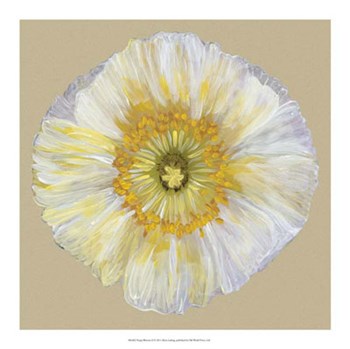 Poppy Blossom II by Alicia Ludwig art print