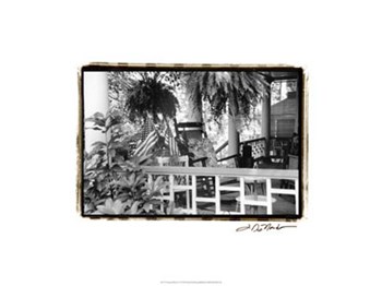 American Breeze VI by Laura Denardo art print