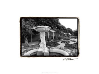 Garden Elegance II by Laura Denardo art print