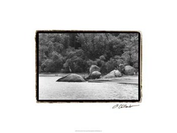 Serene Lake II by Laura Denardo art print
