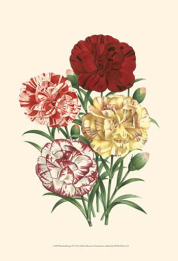 Bountiful Bouquet IV by Pieter De Pannemaeker art print