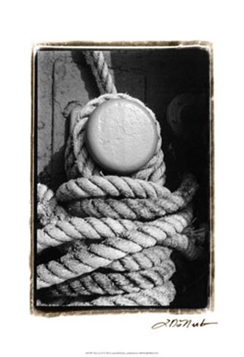 Tied Up II by Laura Denardo art print