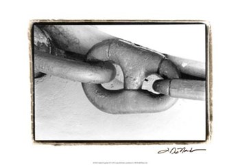 Linked Together II by Laura Denardo art print