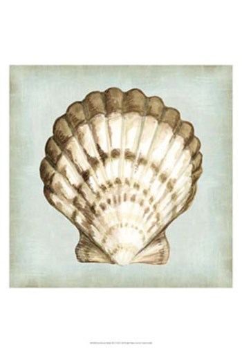 Sea Dream Shells III by Vision Studio art print