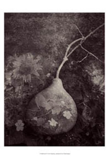 Gourd IV by Elena Ray art print