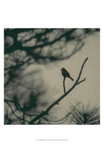 Caligraphy Bird I by Elena Ray art print
