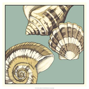 Shell Trio on Blue II by Megan Meagher art print