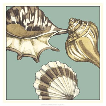 Shell Trio on Blue III by Megan Meagher art print