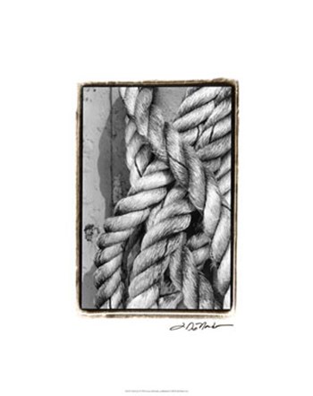 Tied Up I by Laura Denardo art print