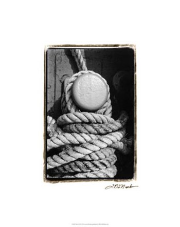 Tied Up II by Laura Denardo art print