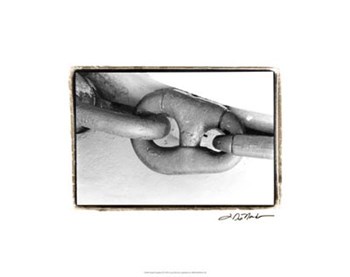 Linked Together II by Laura Denardo art print