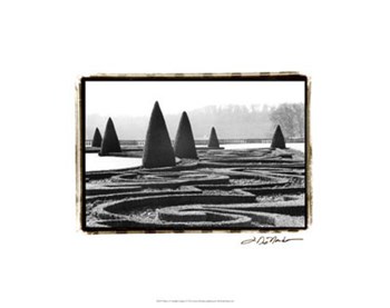 Palace of Versailles Garden I by Laura Denardo art print